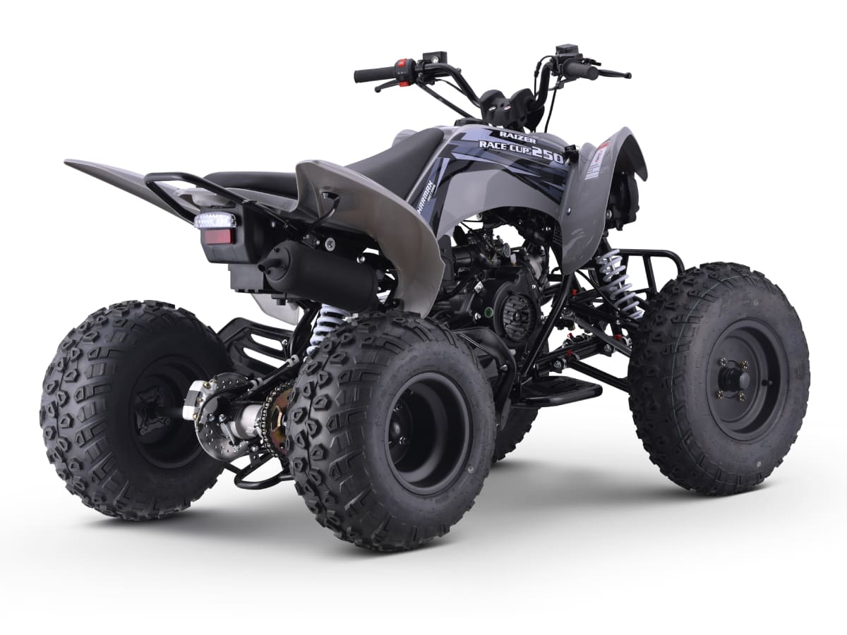 Купить Квадроцикл SHARMAX Raizer Race Cup 250 в Москве фото3