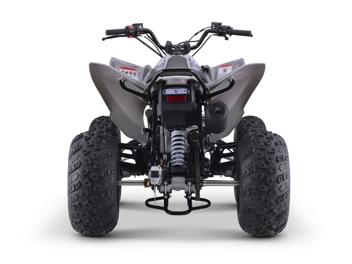 Купить Квадроцикл SHARMAX Raizer Race Cup 250 в Москве фото4