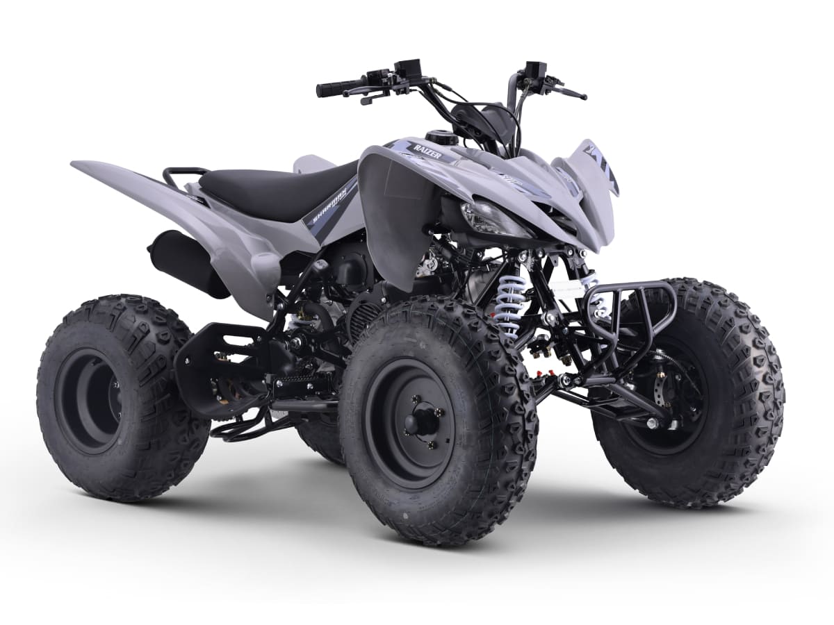 Купить Квадроцикл SHARMAX Raizer Race Cup 250 в Москве фото5