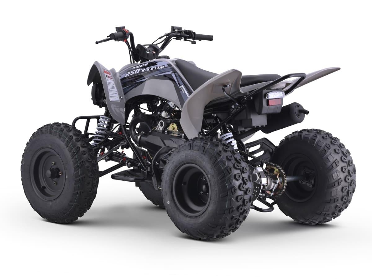 Купить Квадроцикл SHARMAX Raizer Race Cup 250 в Москве фото6