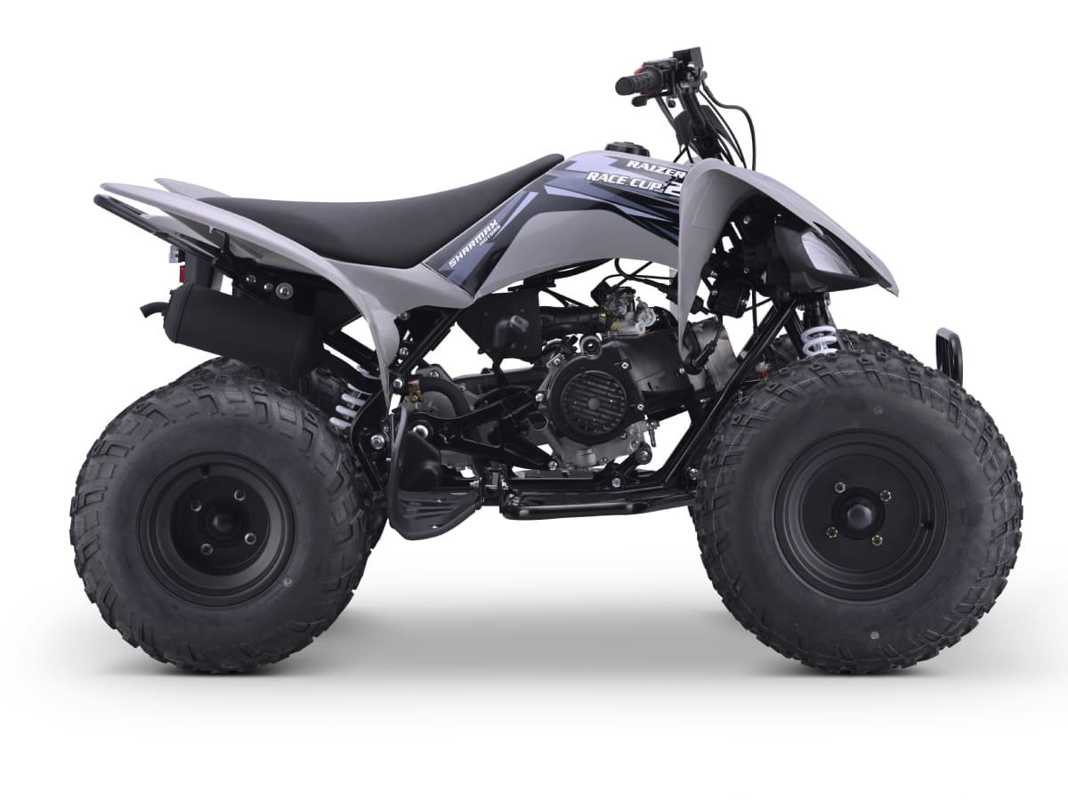 Купить Квадроцикл SHARMAX Raizer Race Cup 250 в Москве фото7