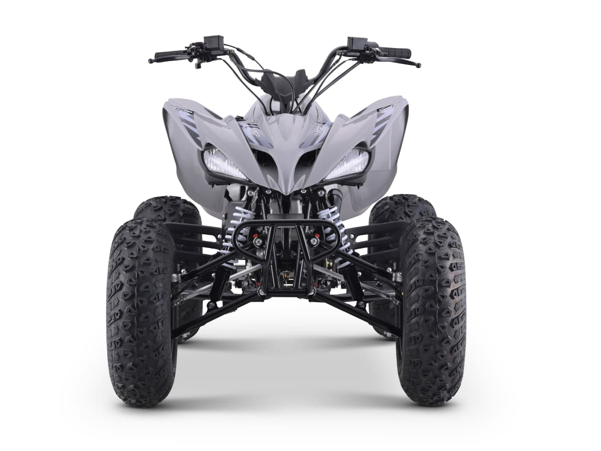 Купить Квадроцикл SHARMAX Raizer Race Cup 250 в Москве фото8