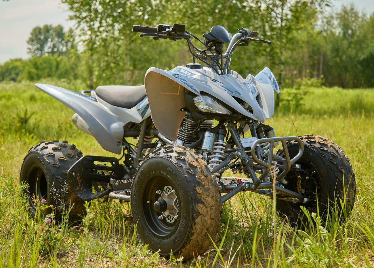 Купить Квадроцикл SHARMAX Raizer Race Cup 250 в Москве фото11