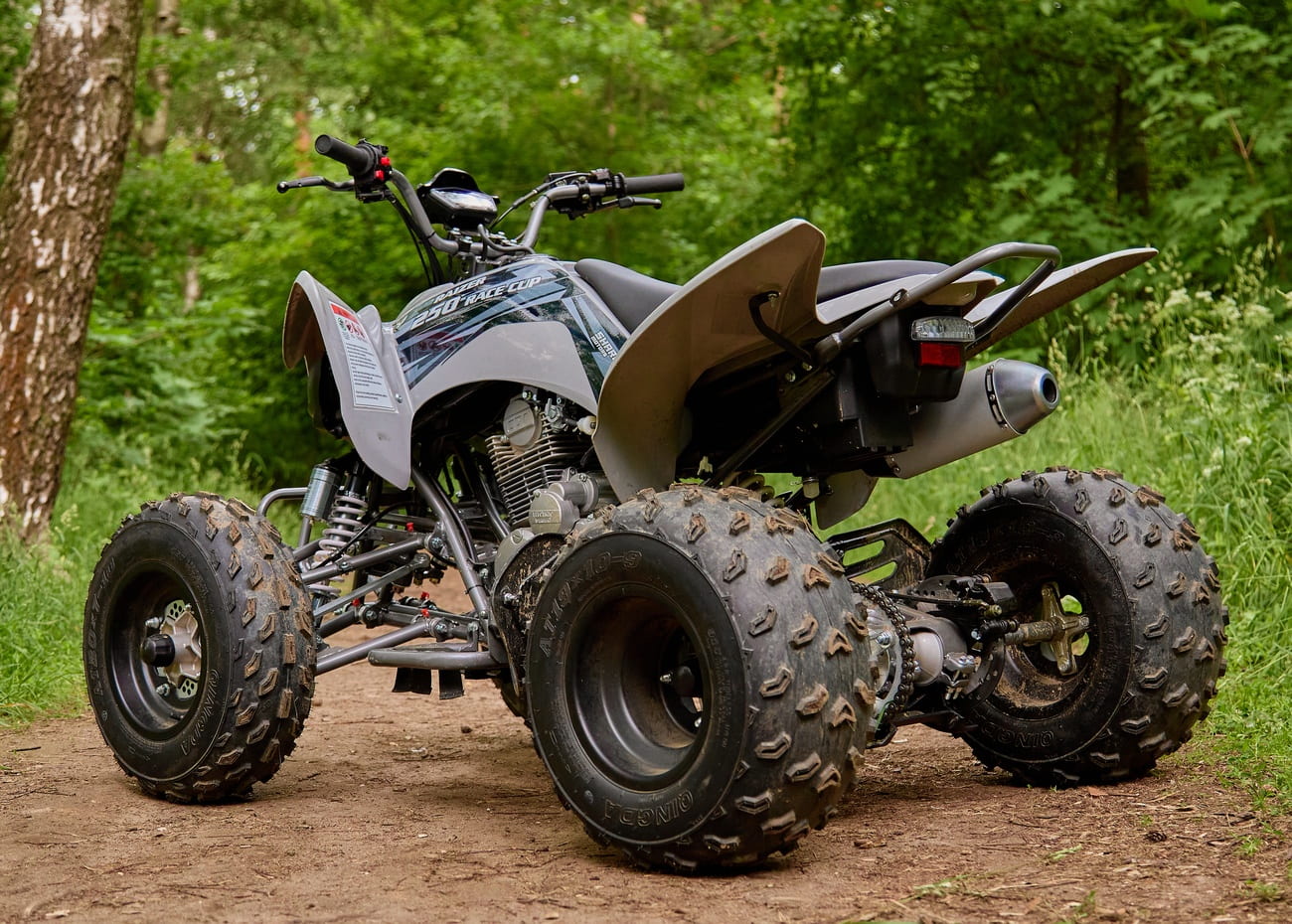 Купить Квадроцикл SHARMAX Raizer Race Cup 250 в Москве фото12