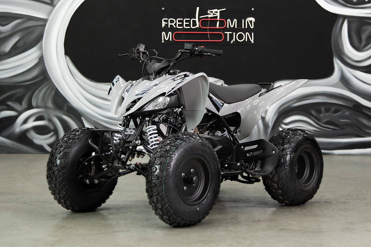 Купить Квадроцикл SHARMAX Raizer Race Cup 250 в Москве фото21