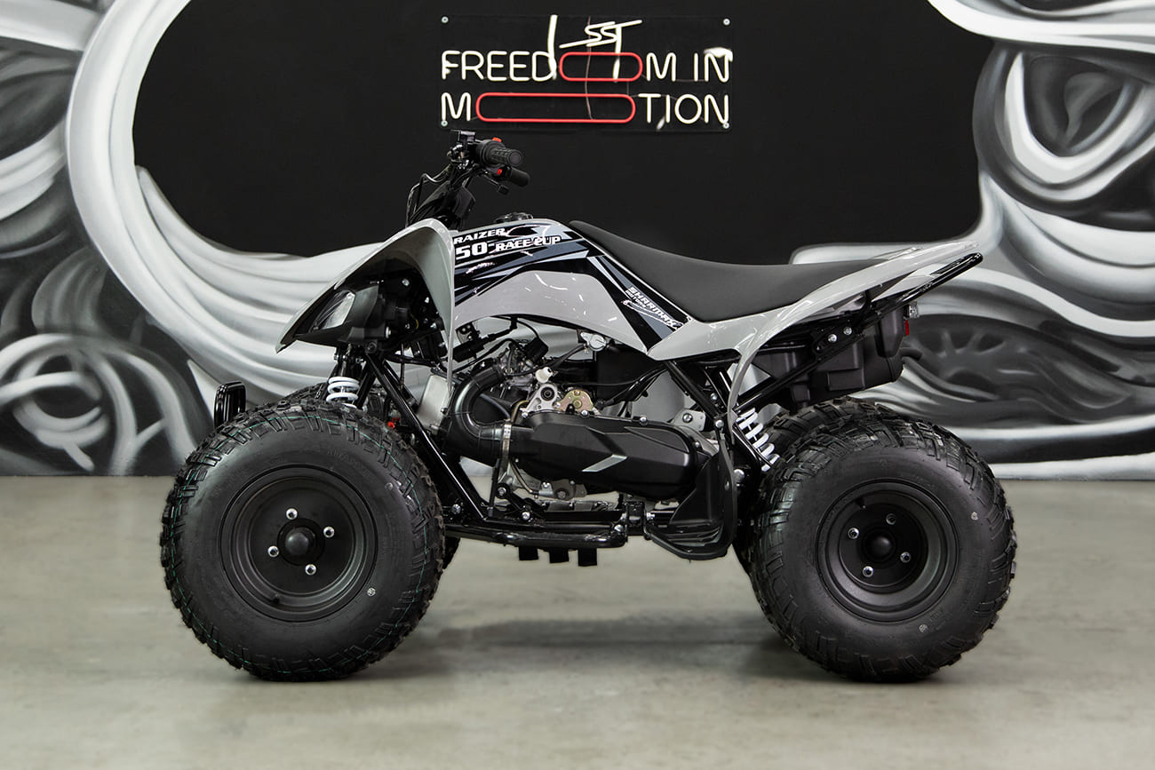 Купить Квадроцикл SHARMAX Raizer Race Cup 250 в Москве фото22