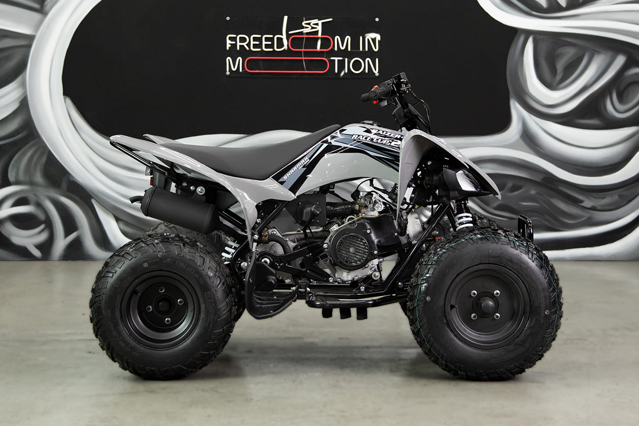 Купить Квадроцикл SHARMAX Raizer Race Cup 250 в Москве фото23