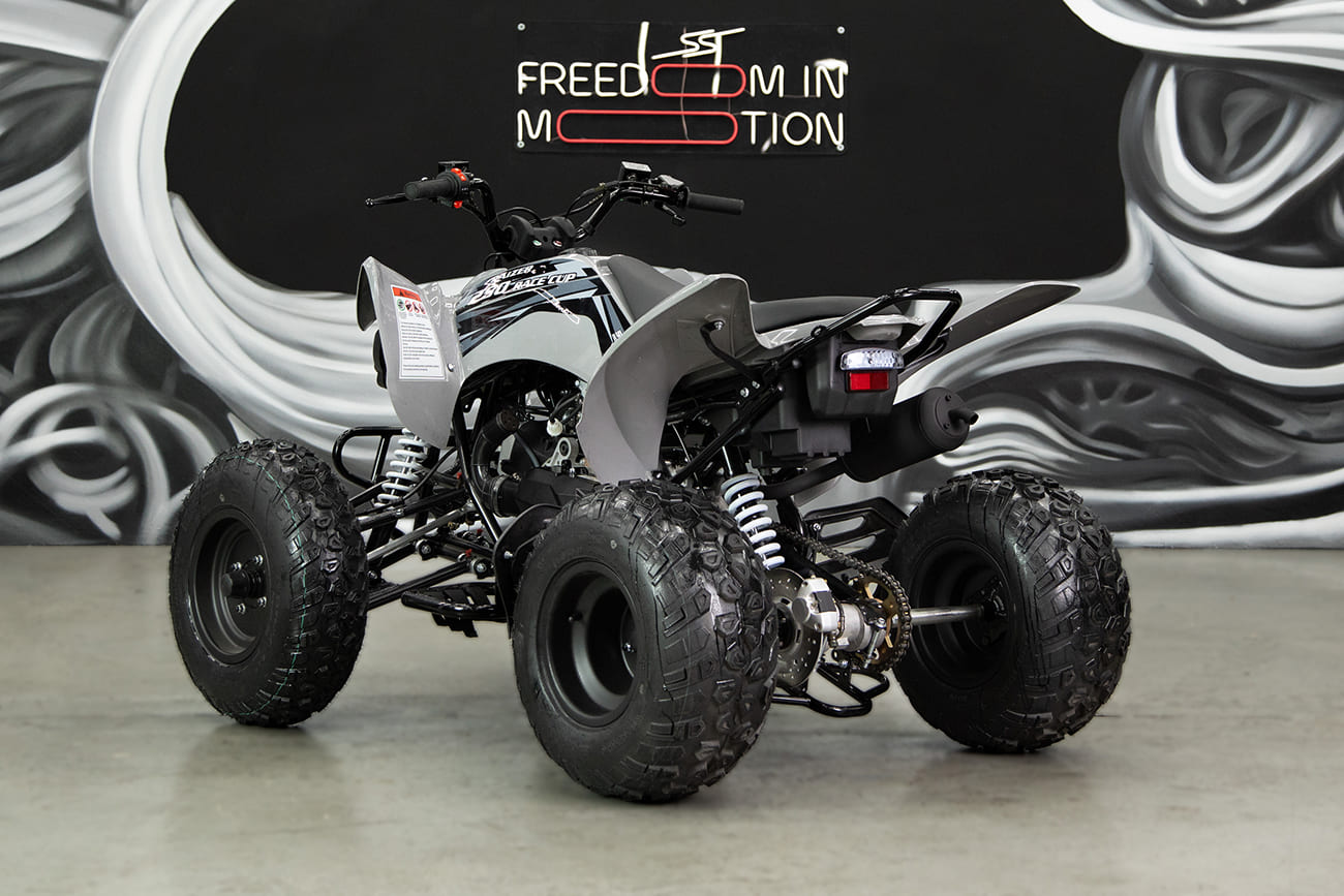 Купить Квадроцикл SHARMAX Raizer Race Cup 250 в Москве фото24