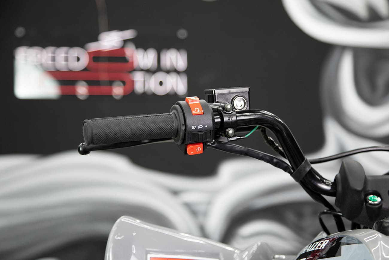 Купить Квадроцикл SHARMAX Raizer Race Cup 250 в Москве фото27