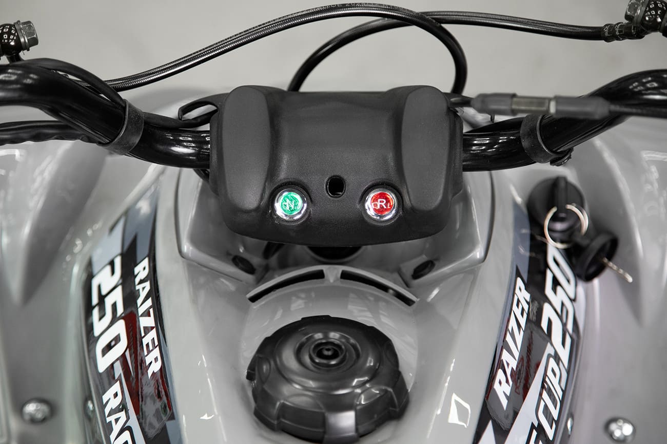 Купить Квадроцикл SHARMAX Raizer Race Cup 250 в Москве фото28