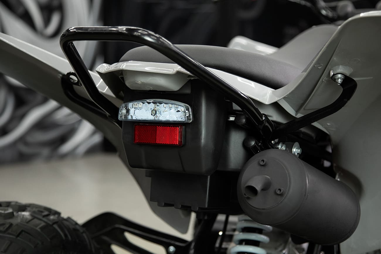 Купить Квадроцикл SHARMAX Raizer Race Cup 250 в Москве фото30