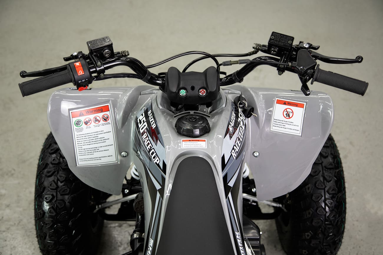 Купить Квадроцикл SHARMAX Raizer Race Cup 250 в Москве фото32