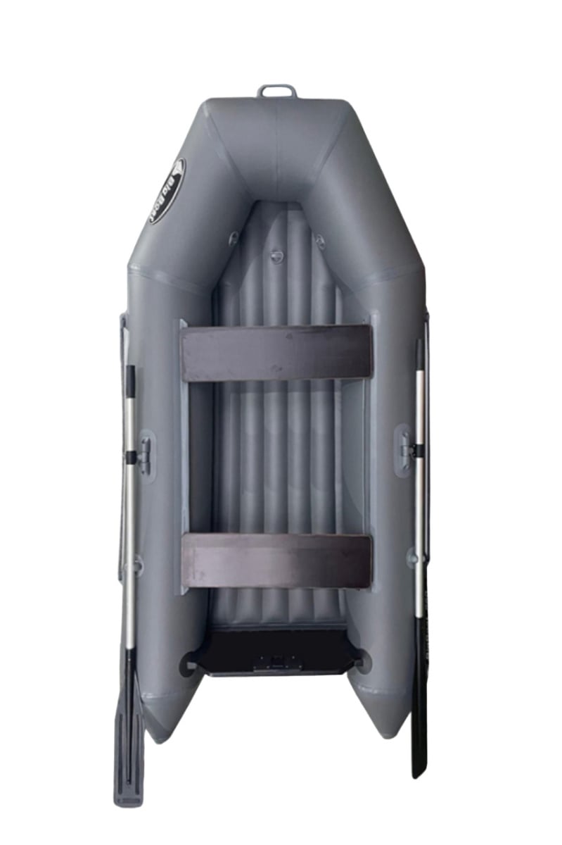 Купить Лодка ПВХ BIG BOAT T310НД в Москве