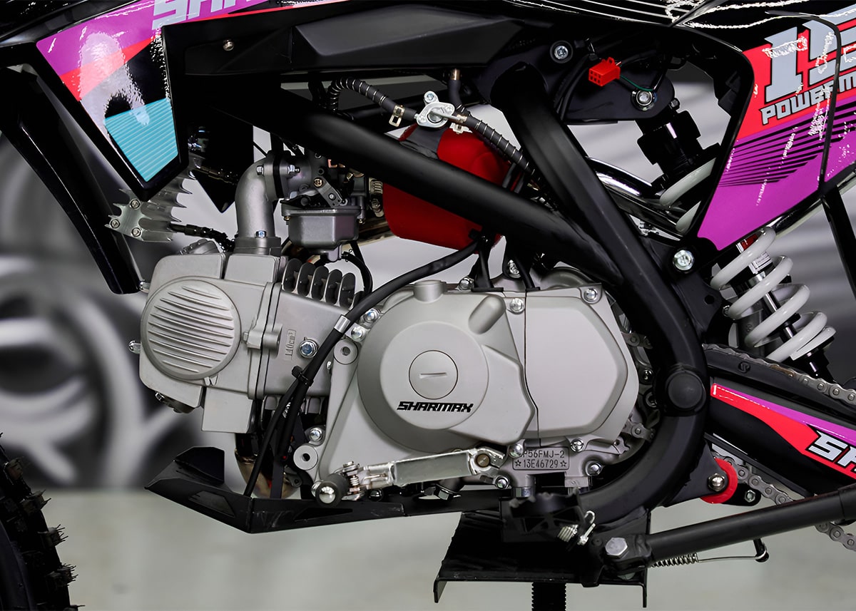 Купить Мотоцикл питбайк SHARMAX MOTORS PowerMax 190 MIAMI в Москве фото22