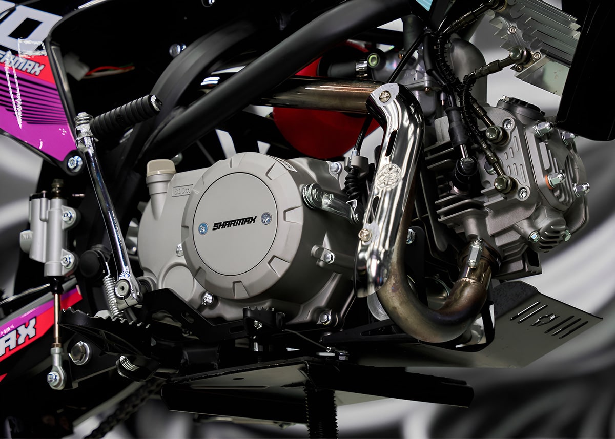 Купить Мотоцикл питбайк SHARMAX MOTORS PowerMax 190 MIAMI в Москве фото28