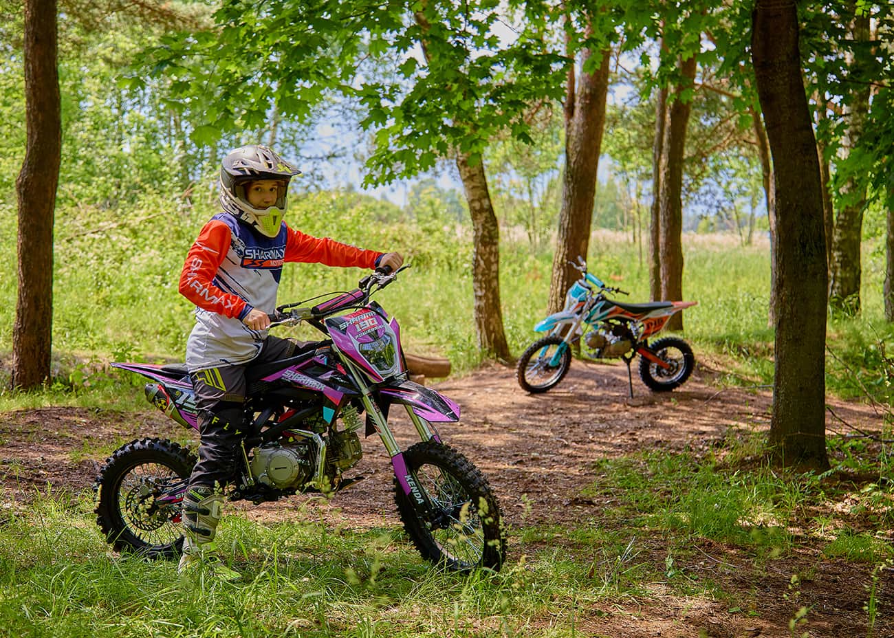 Купить Мотоцикл питбайк SHARMAX MOTORS PowerMax 190 MIAMI в Москве фото57