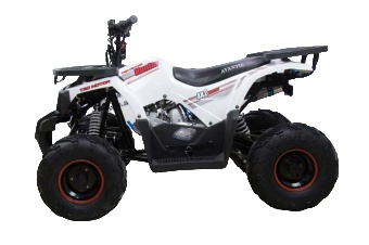 Купить Квадроцикл AVANTIS Hunter 7 New Lux в Москве фото3