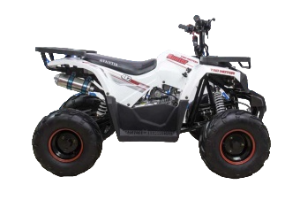 Купить Квадроцикл AVANTIS Hunter 7 New Lux в Москве фото4