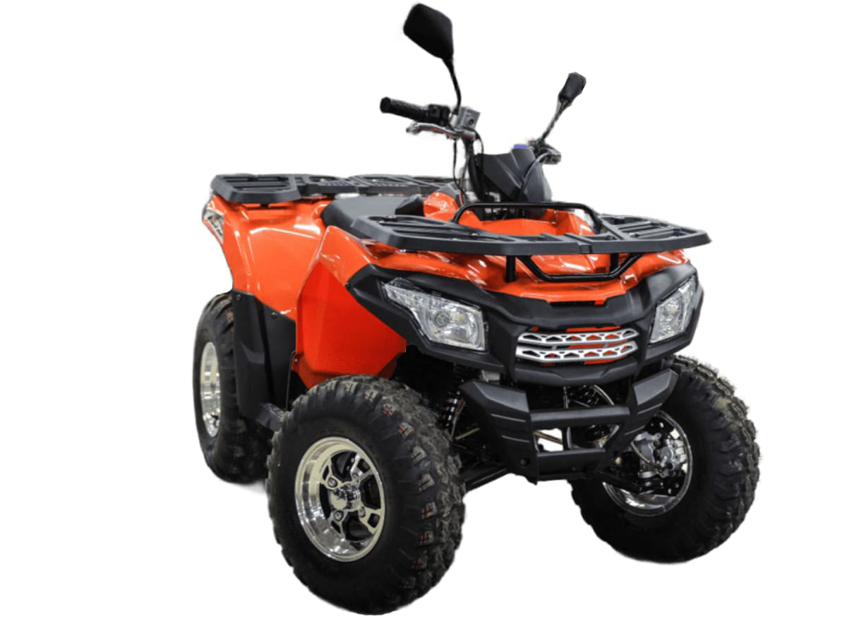 Купить Квадроцикл MOTOLAND ATV 200 Max в Москве фото3