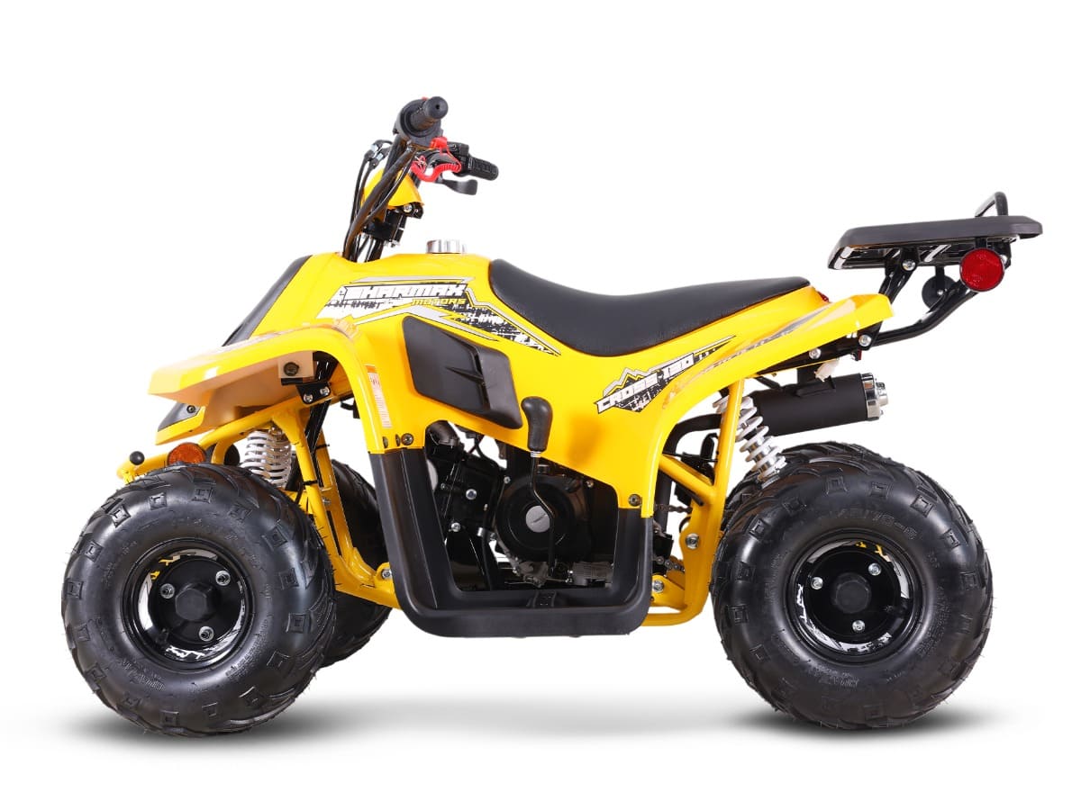 Купить Квадроцикл SHARMAX 130 Cross в Москве фото3