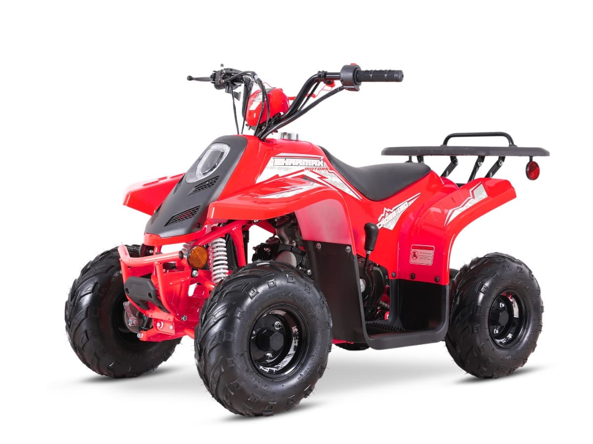 Купить Квадроцикл SHARMAX 130 Cross в Москве фото10