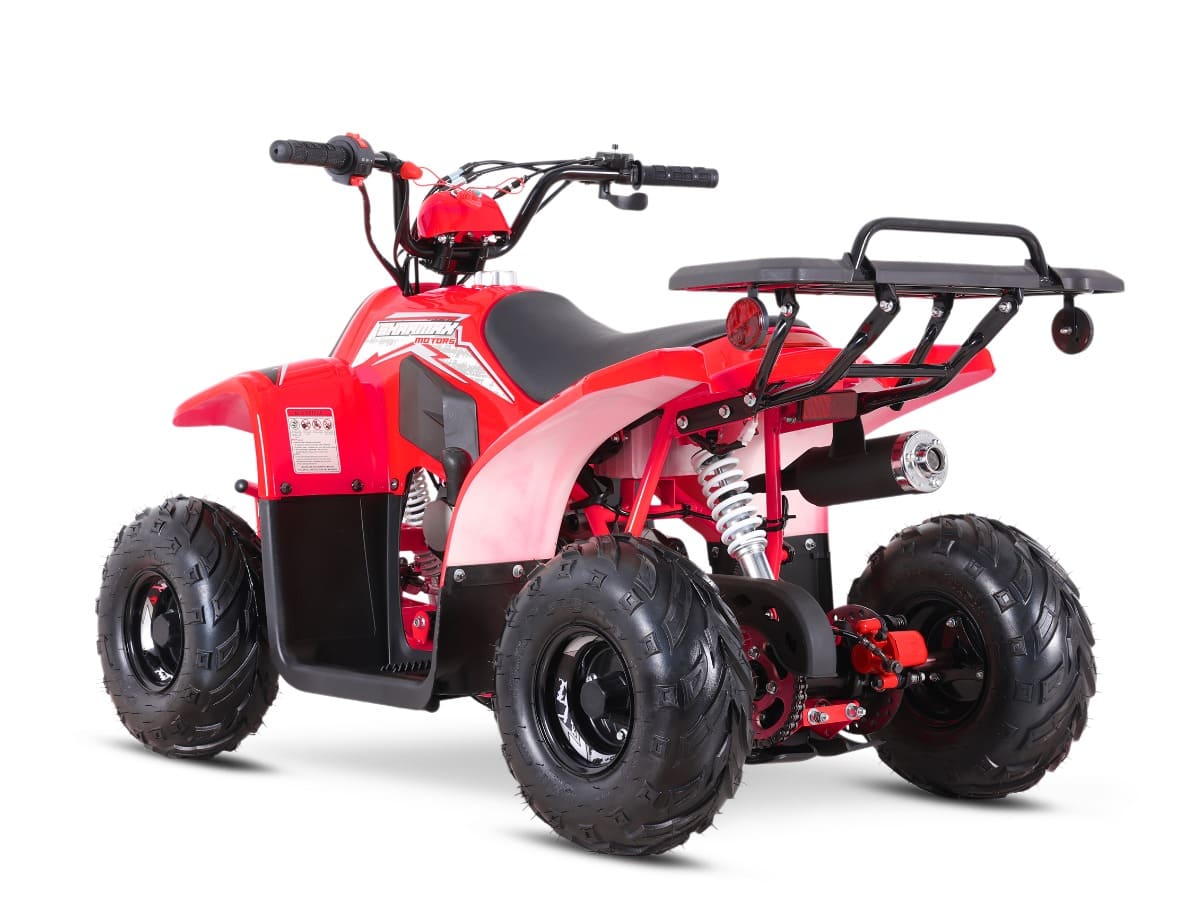 Купить Квадроцикл SHARMAX 130 Cross в Москве фото11