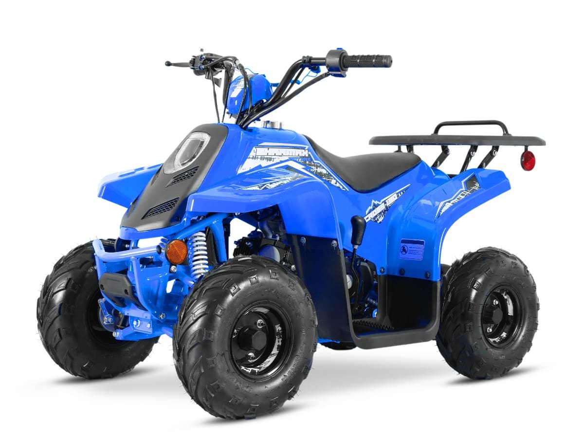 Купить Квадроцикл SHARMAX 130 Cross в Москве фото12