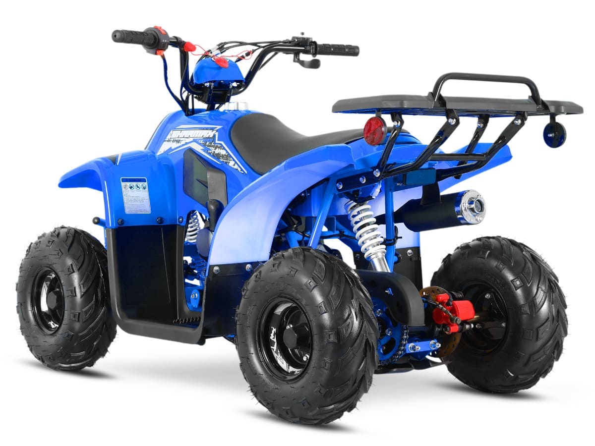 Купить Квадроцикл SHARMAX 130 Cross в Москве фото13
