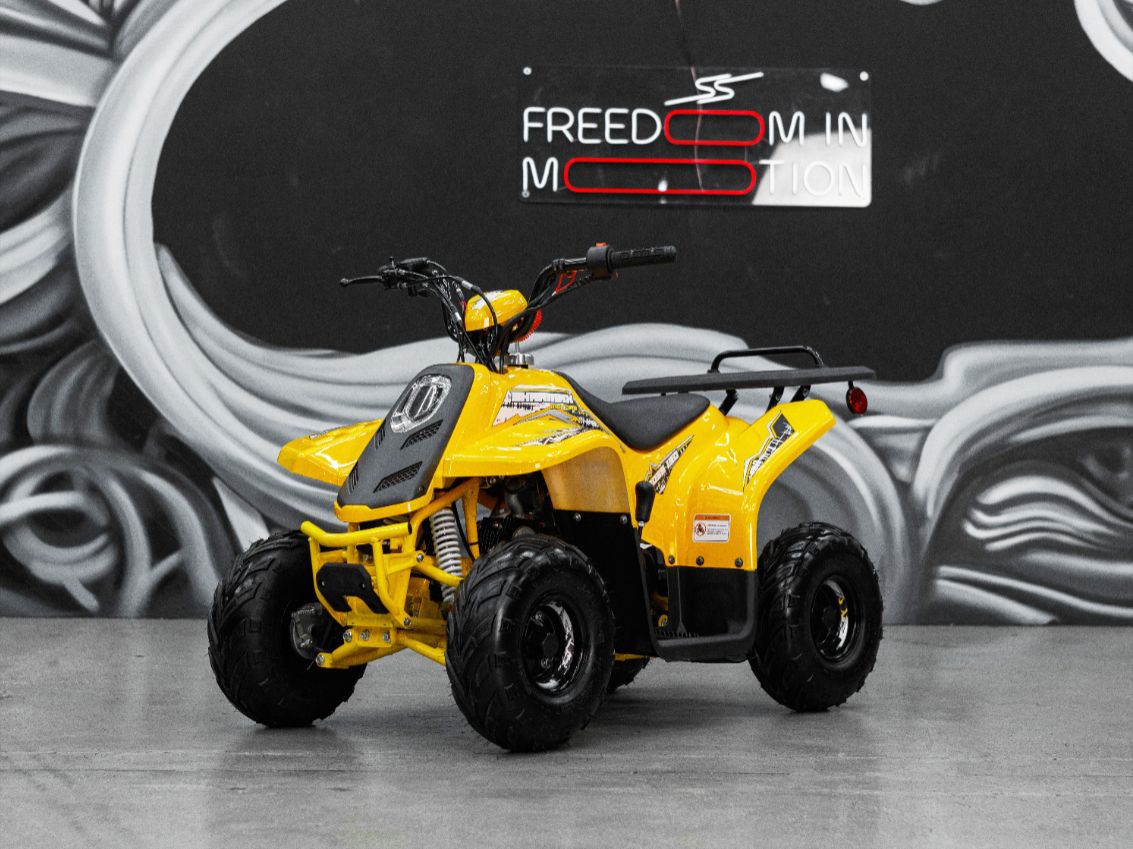 Купить Квадроцикл SHARMAX 130 Cross в Москве фото24