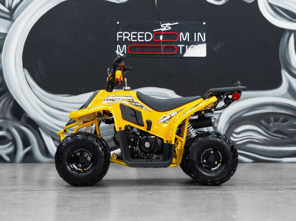 Купить Квадроцикл SHARMAX 130 Cross в Москве фото25