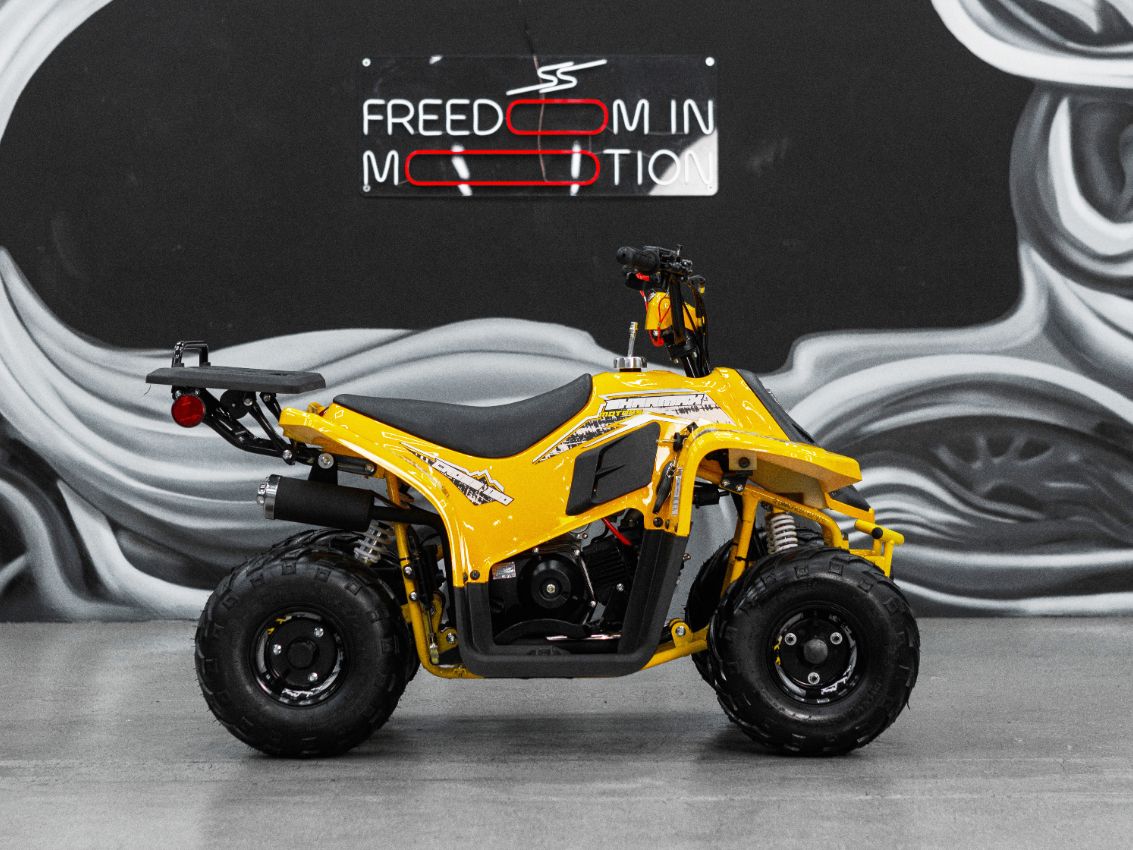 Купить Квадроцикл SHARMAX 130 Cross в Москве фото27