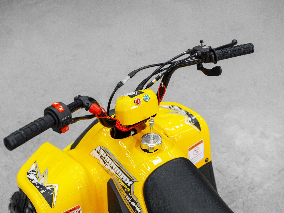 Купить Квадроцикл SHARMAX 130 Cross в Москве фото30