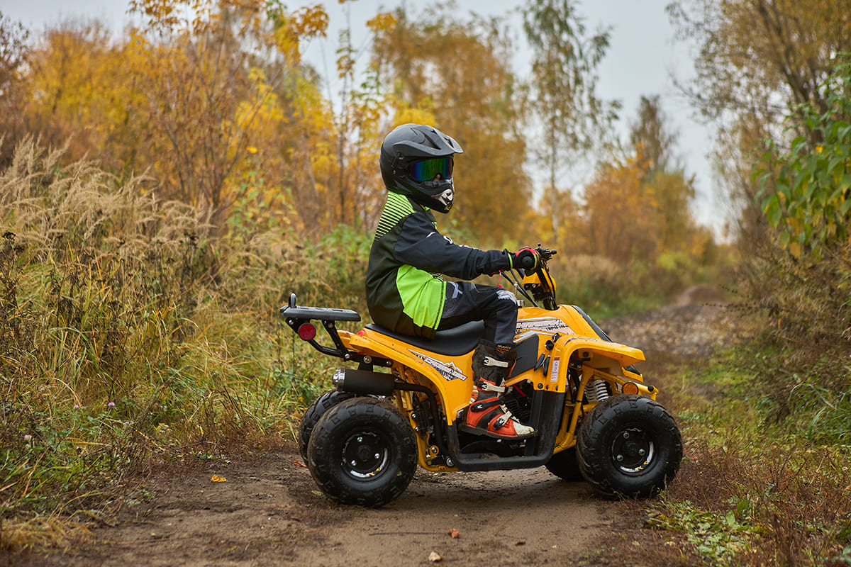 Купить Квадроцикл SHARMAX 130 Cross в Москве фото39