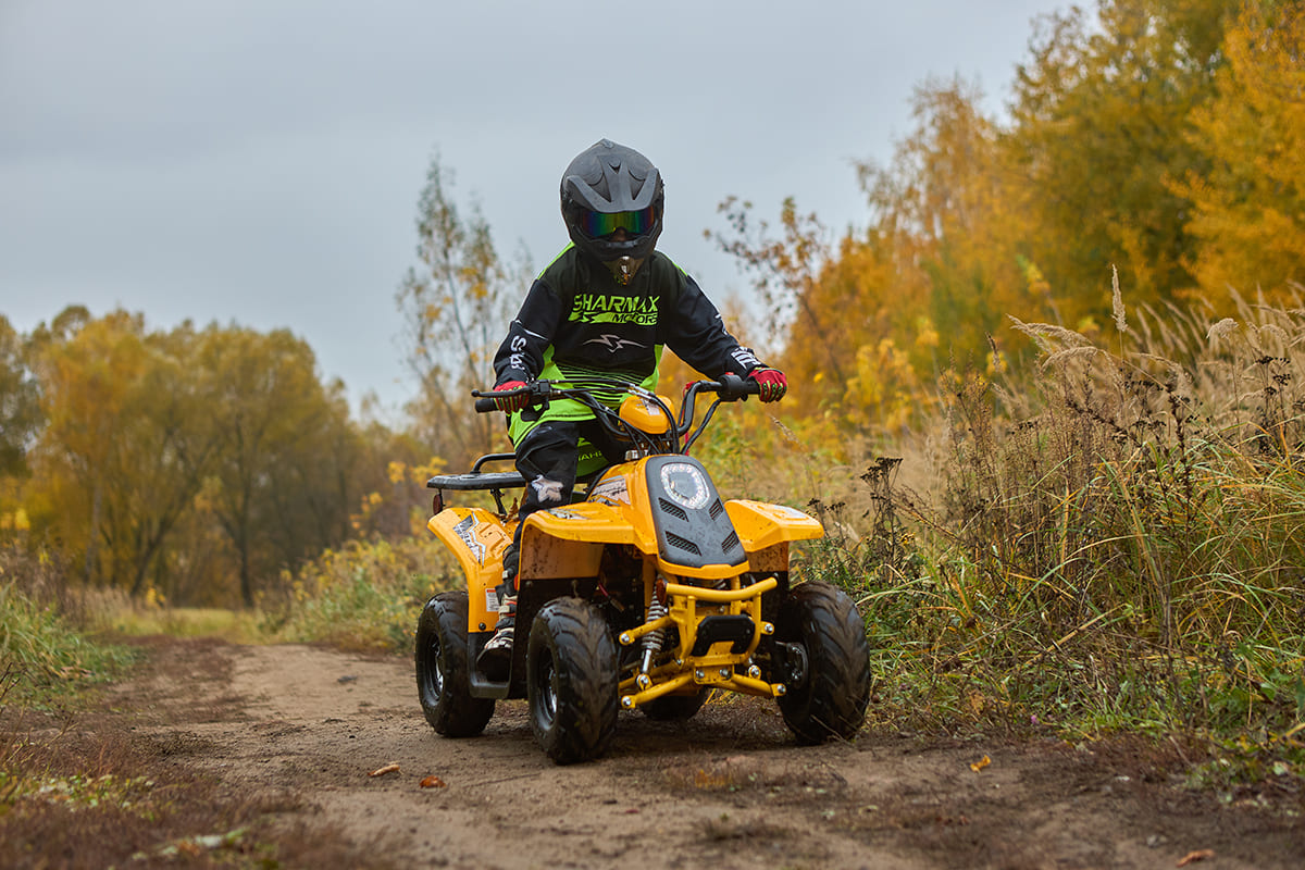 Купить Квадроцикл SHARMAX 130 Cross в Москве фото42