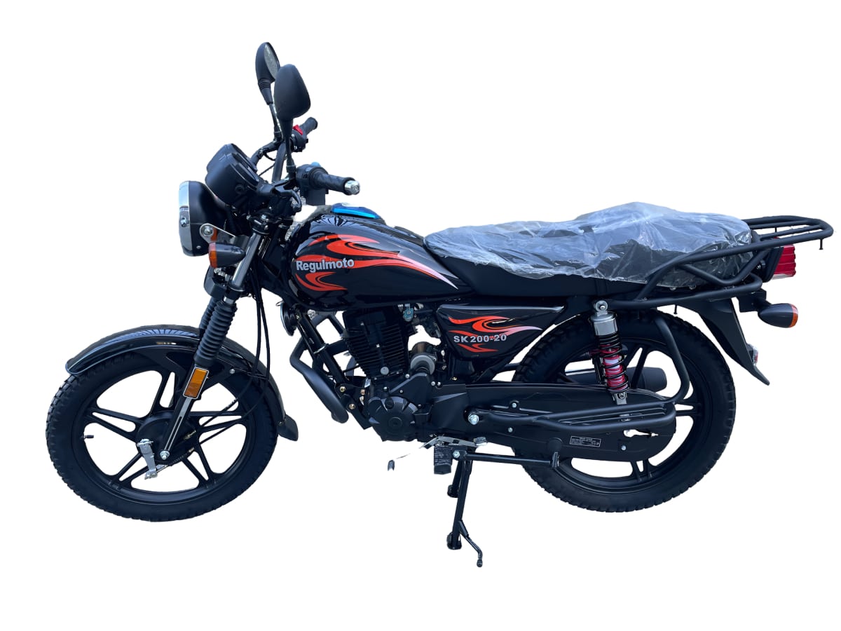 Купить Мотоцикл REGULMOTO SK200-20 ENDURO в Москве фото3