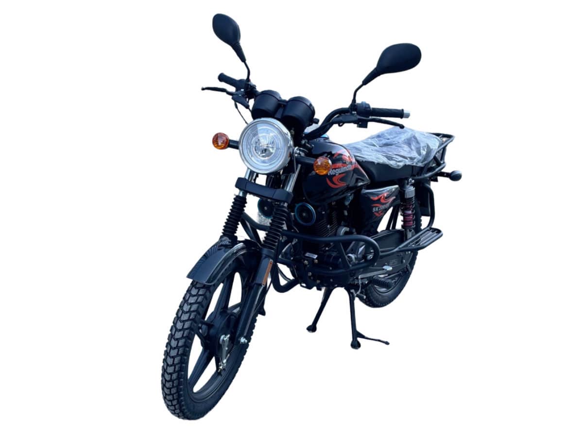 Купить Мотоцикл REGULMOTO SK200-20 ENDURO в Москве фото4