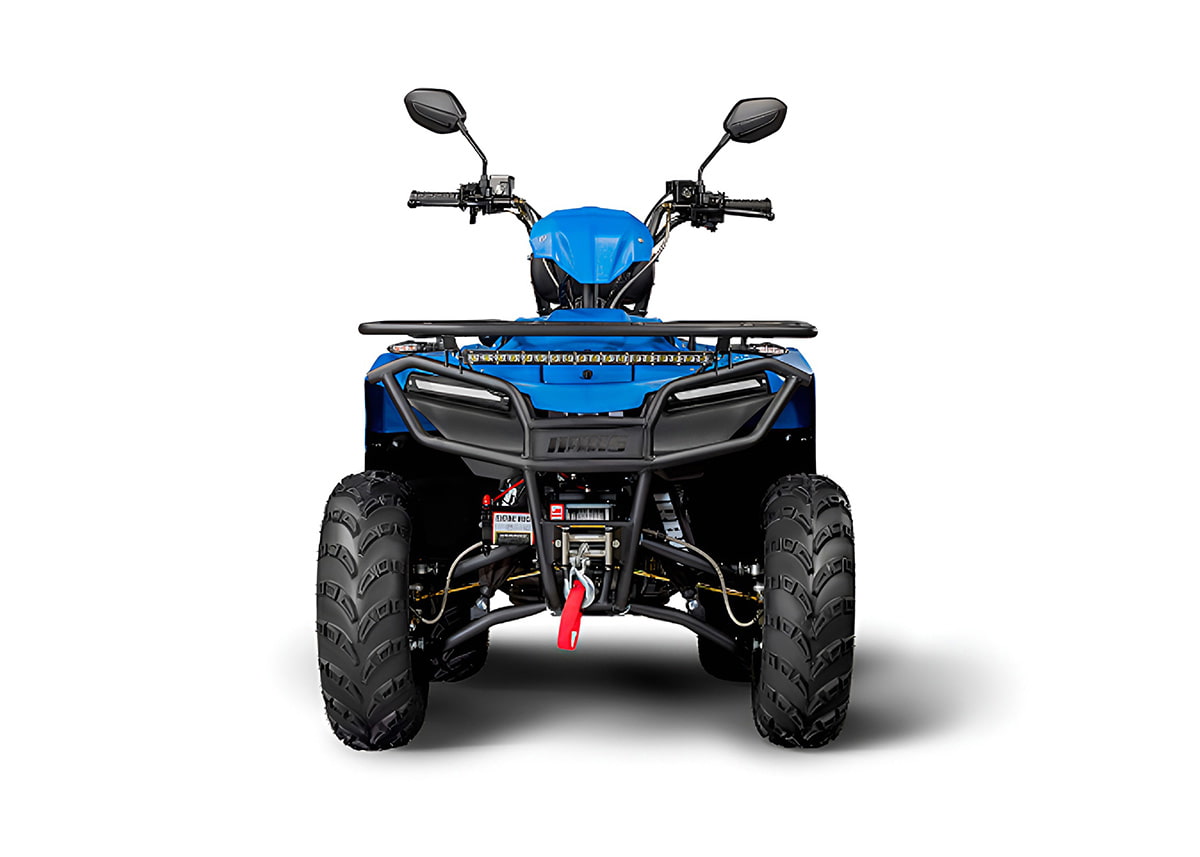 Купить Квадроцикл IRBIS ATV200 LUX в Москве фото2