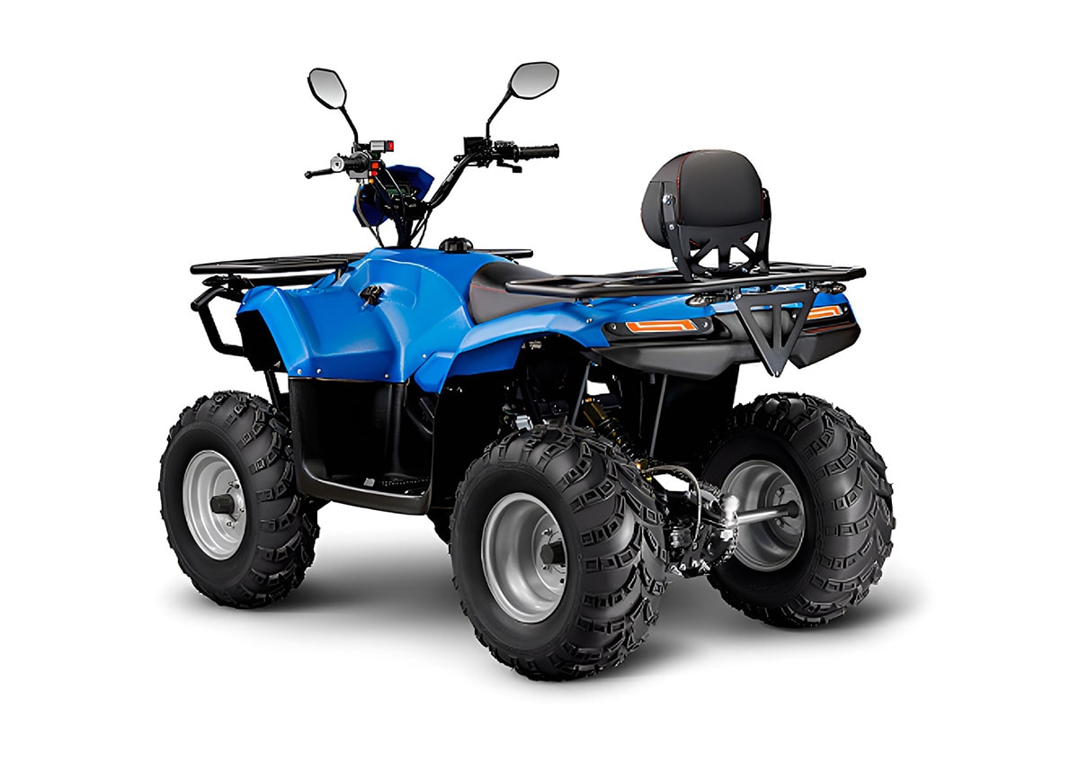 Купить Квадроцикл IRBIS ATV200 LUX в Москве фото5