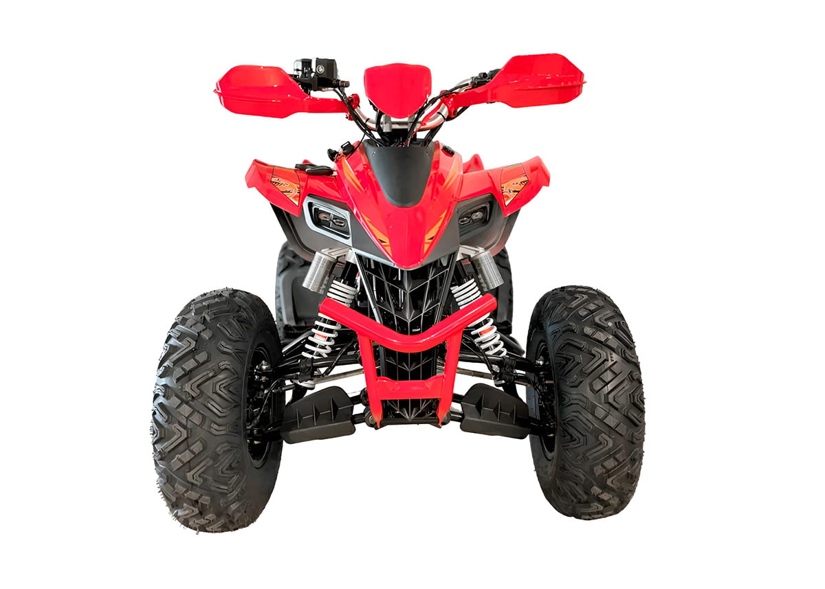 Купить Квадроцикл YACOTA Typhoon 250LD в Москве фото2