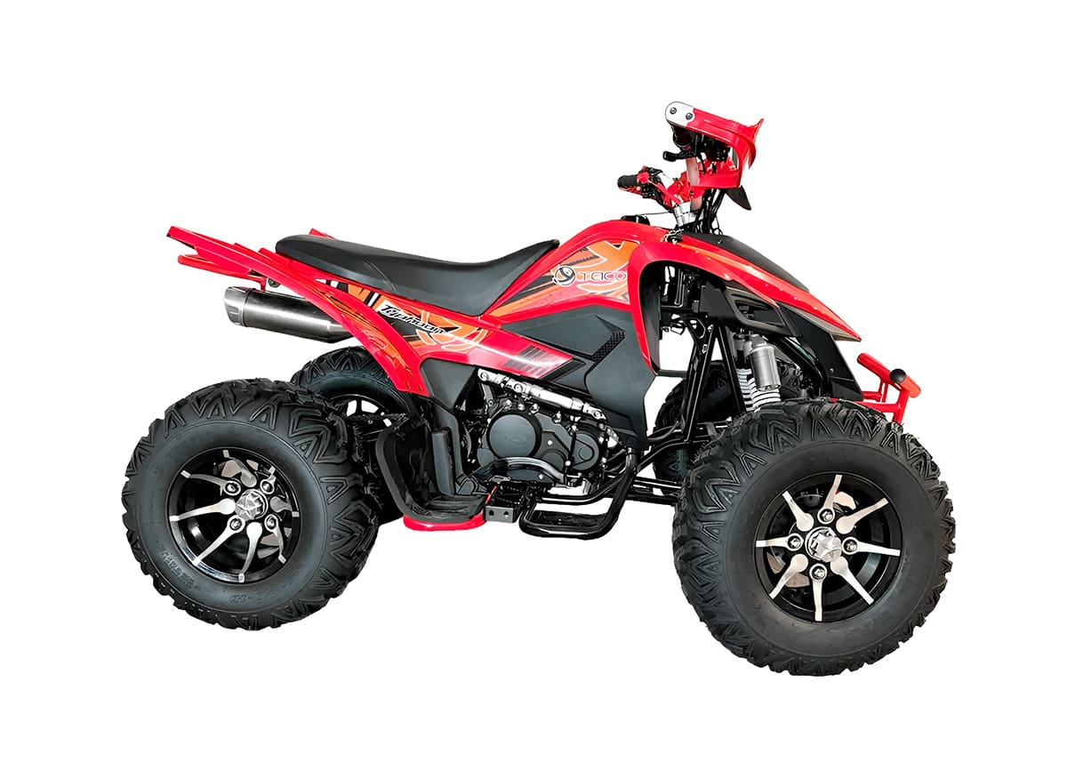 Купить Квадроцикл YACOTA Typhoon 250LD в Москве фото3