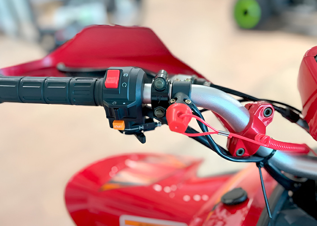 Купить Квадроцикл YACOTA Typhoon 250LD в Москве фото6