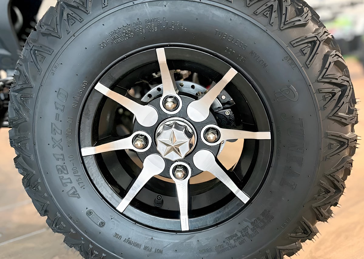 Купить Квадроцикл YACOTA Typhoon 250LD в Москве фото7