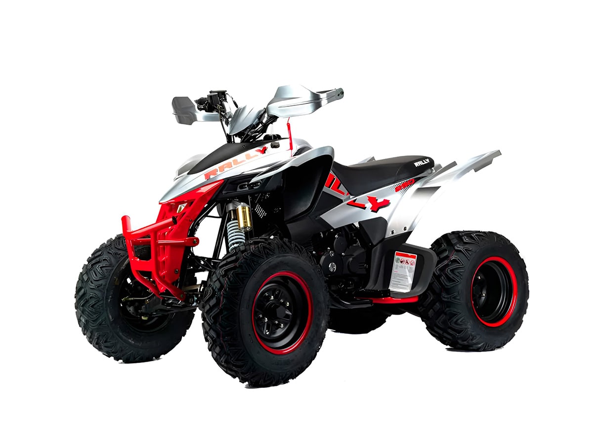 Купить Квадроцикл MOTOLAND Rally 250 в Москве