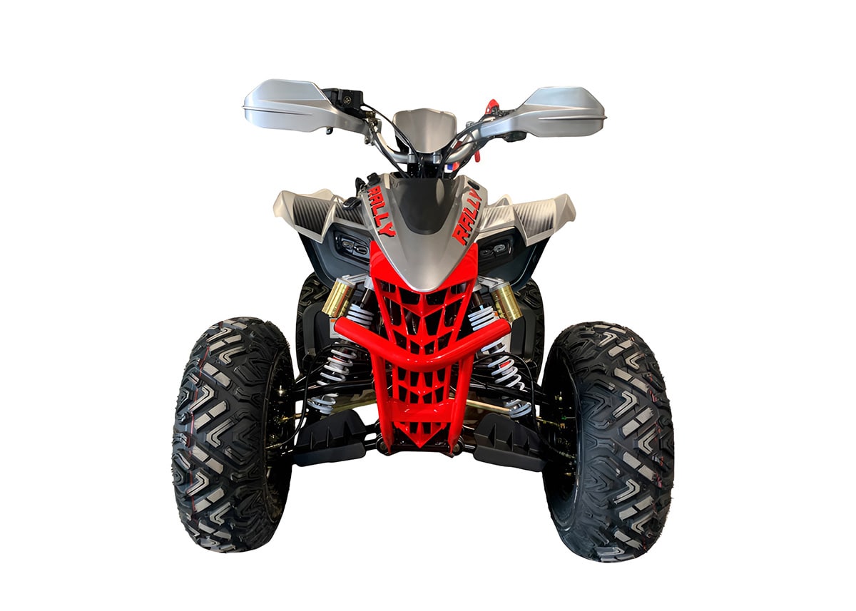 Купить Квадроцикл MOTOLAND Rally 250 в Москве фото2