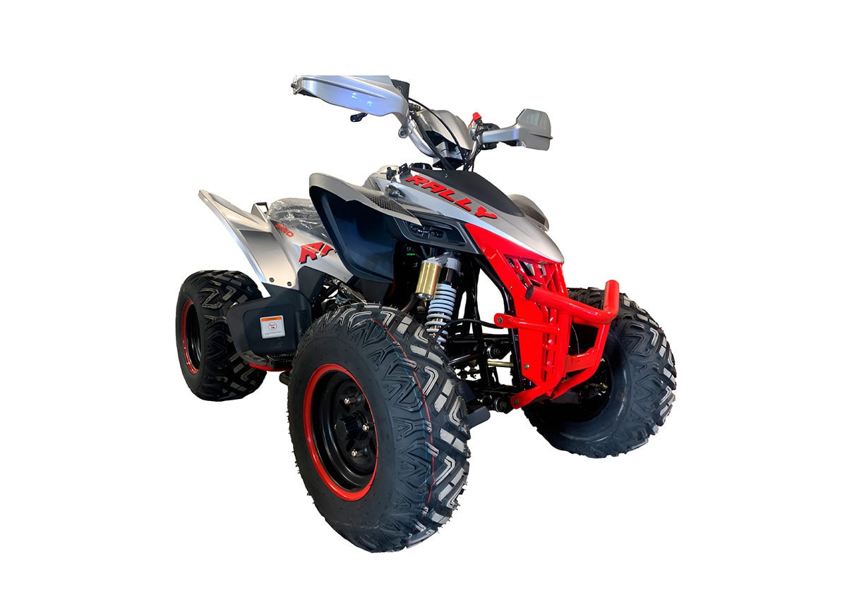 Купить Квадроцикл MOTOLAND Rally 250 в Москве фото3