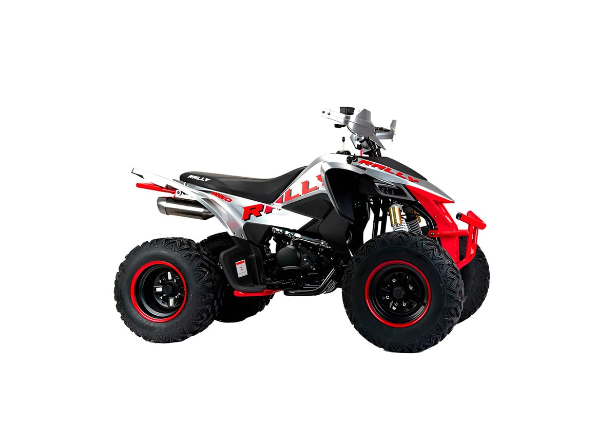 Купить Квадроцикл MOTOLAND Rally 250 в Москве фото4