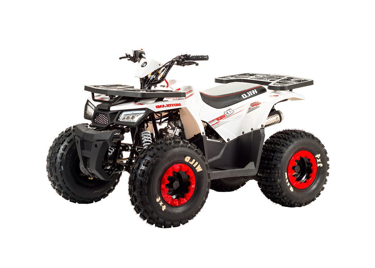 Купить Квадроцикл MOTOLAND 125 Wild в Москве