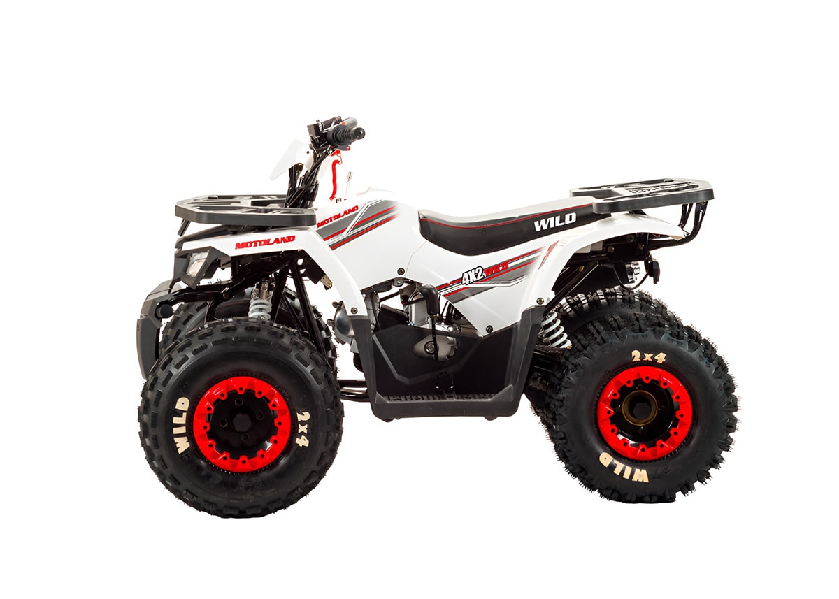 Купить Квадроцикл MOTOLAND 125 Wild в Москве фото2