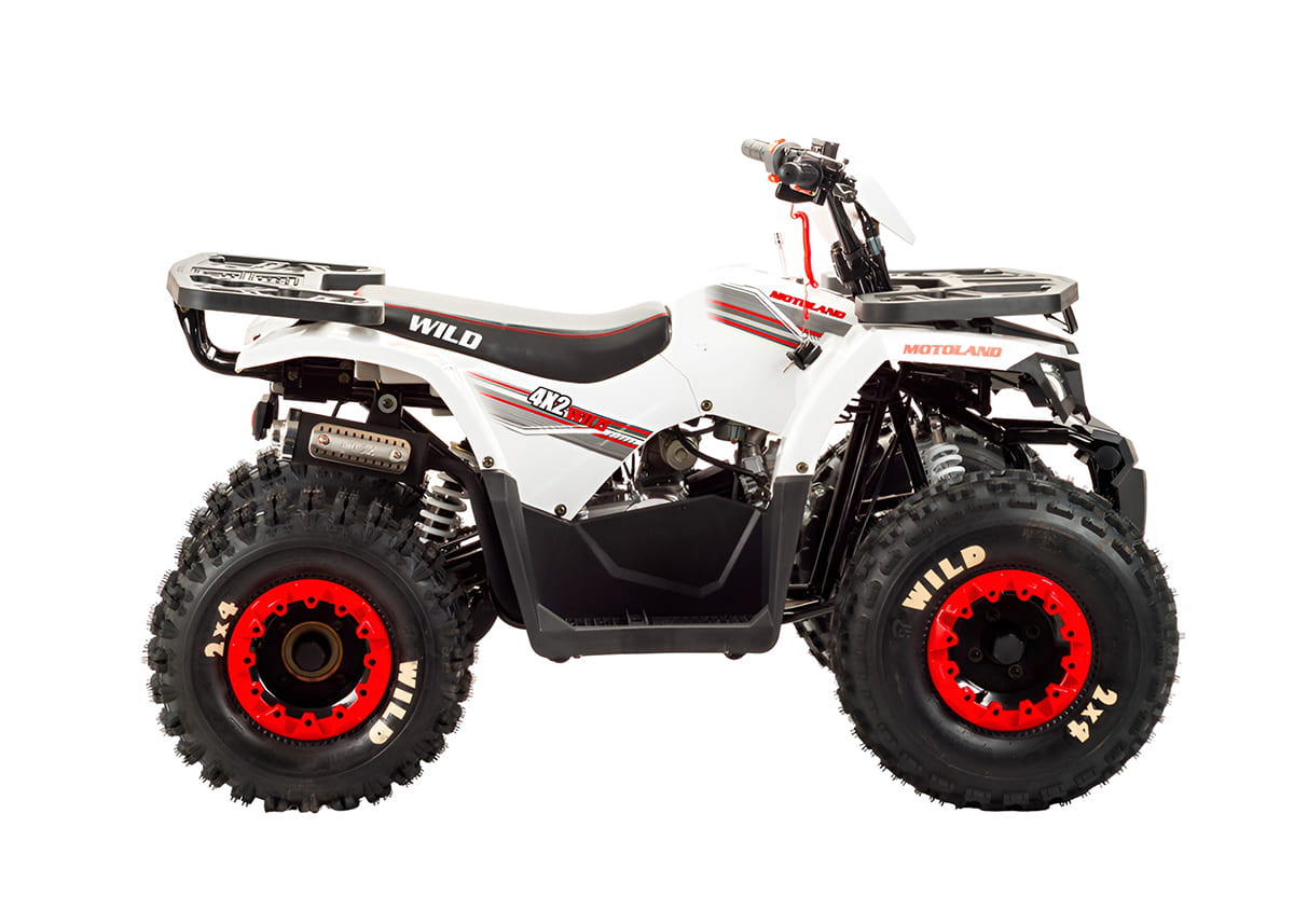 Купить Квадроцикл MOTOLAND 125 Wild в Москве фото3