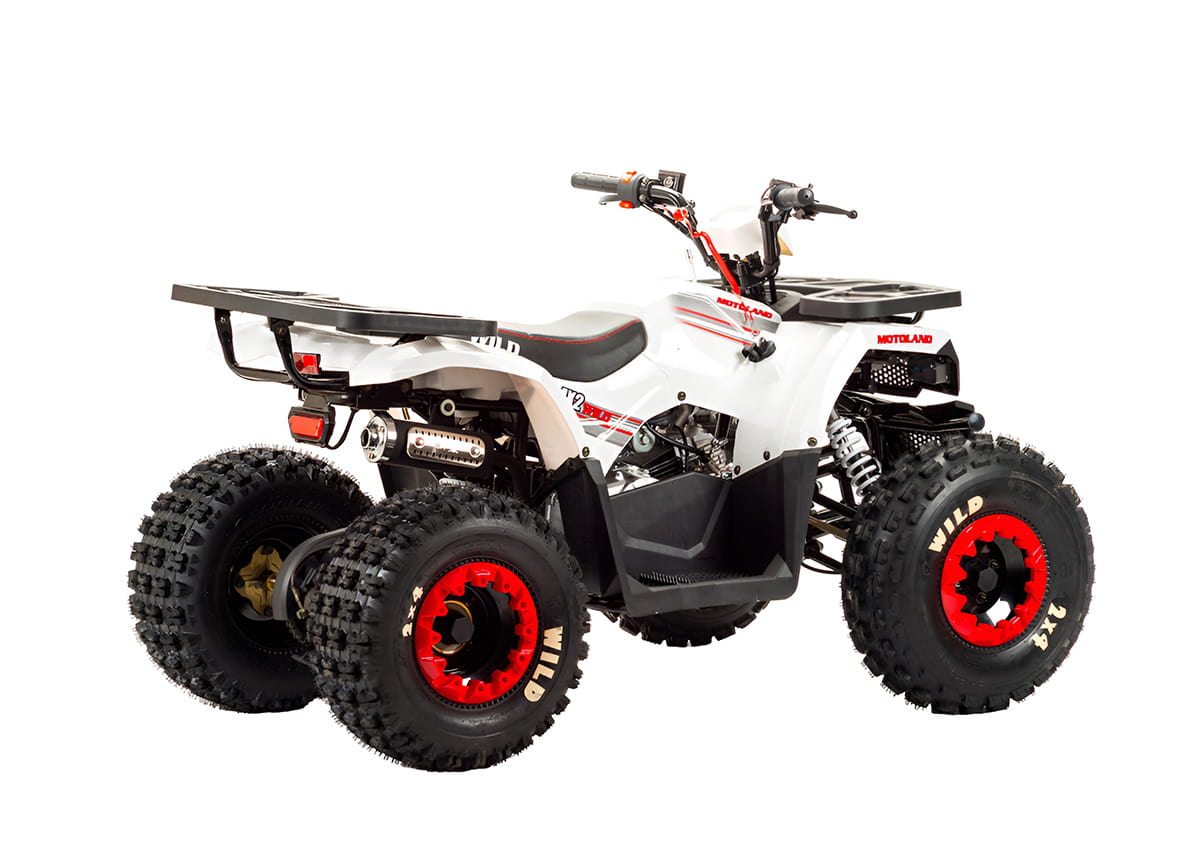 Купить Квадроцикл MOTOLAND 125 Wild в Москве фото4